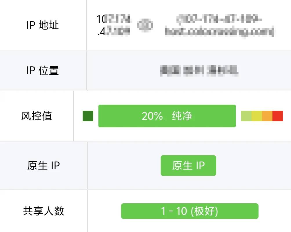独享节点IP检测结果