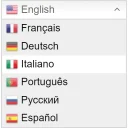 GTranslate