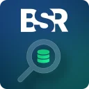 BSR Pro